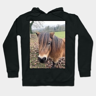 I Love Horses - A Pony in the English Countryside Hoodie